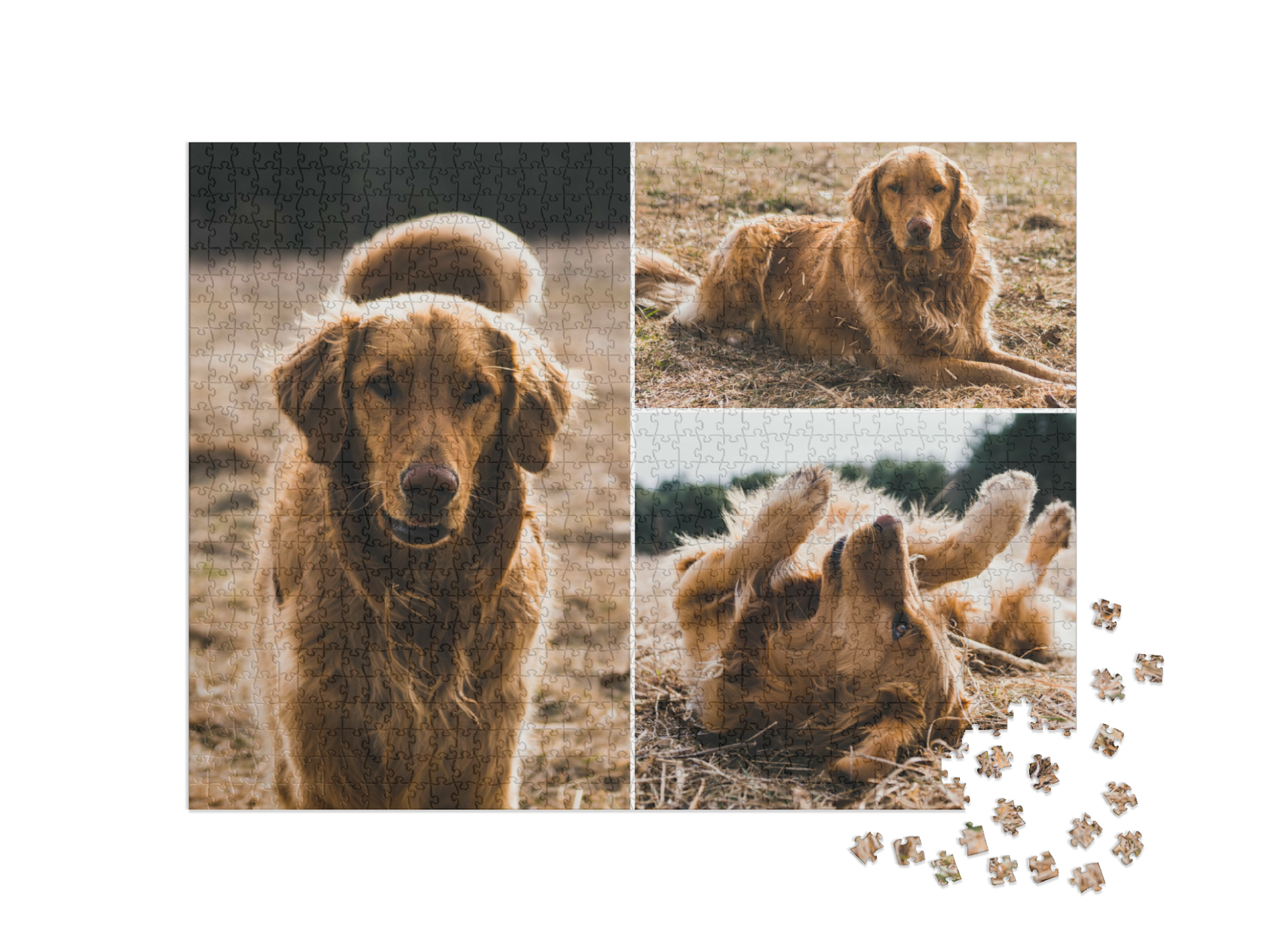 Puzzle Kolaż