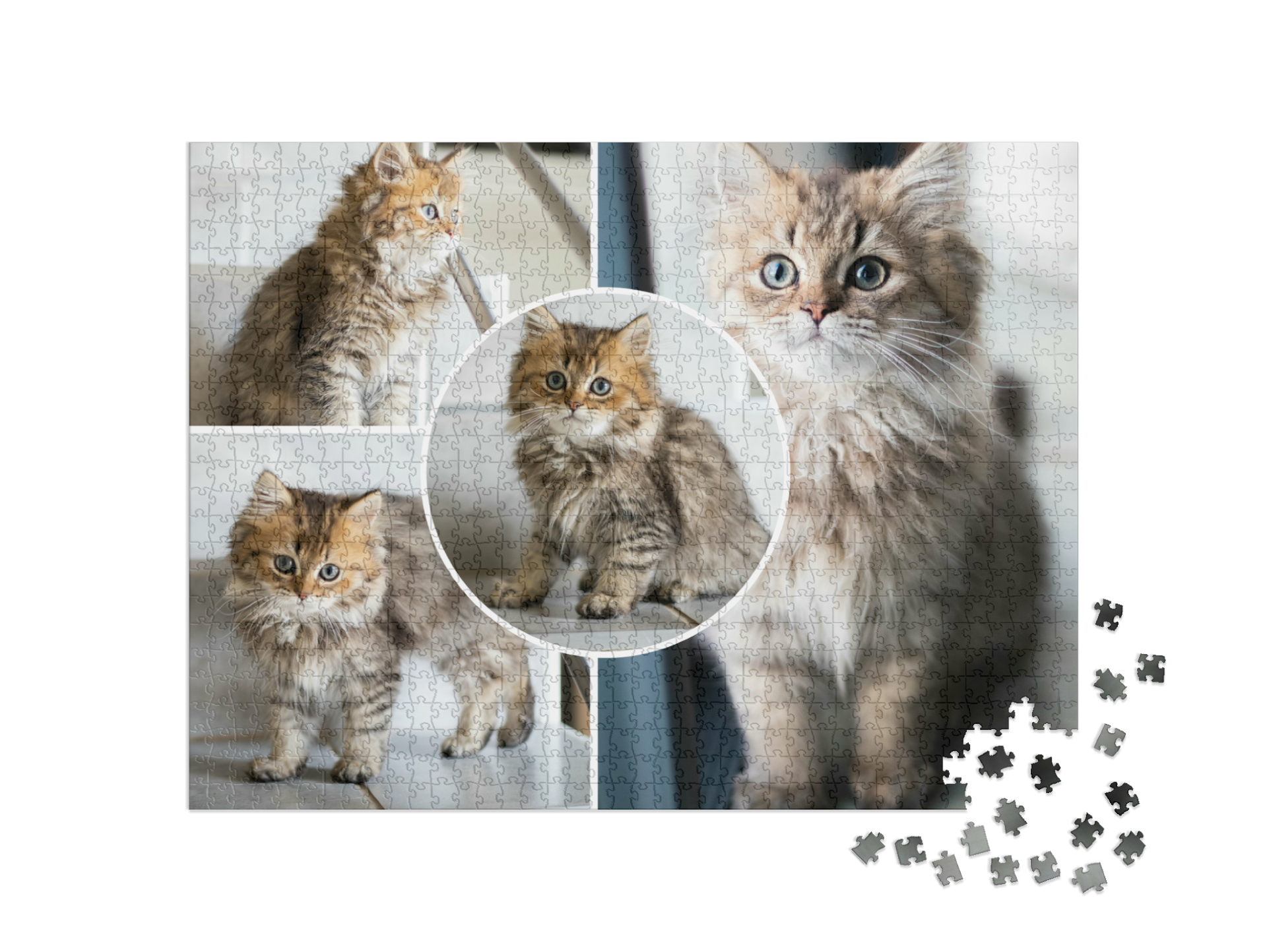 Puzzle Kolaż
